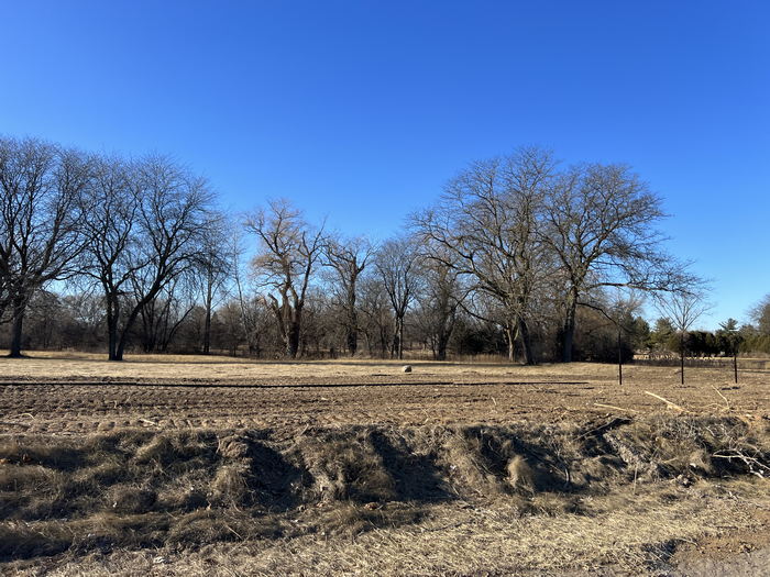 Romeo Golf & Country Club - Course Jan 14 2023 (newer photo)